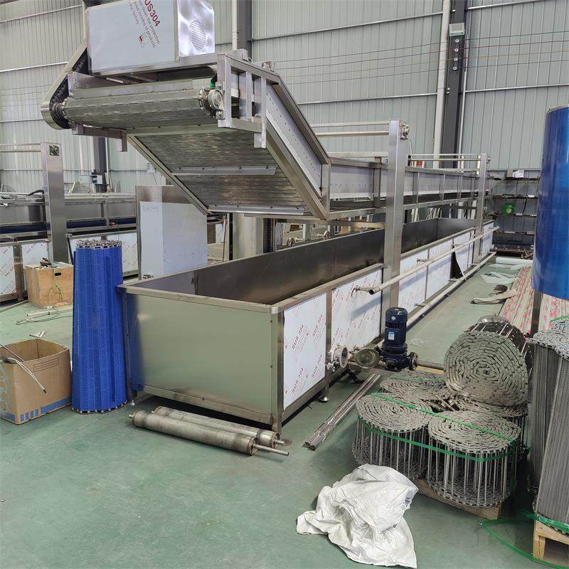 生菜清洗机果蔬清洗设备全自动连续式气泡清洗机樱桃气泡清洗设备,淘宝优惠券,粉丝福利购,淘宝优惠卷