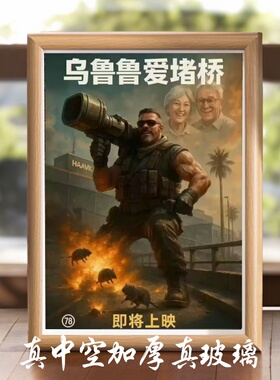 乌鲁鲁三角洲堵桥相框装饰画