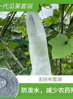 50个苦瓜丝瓜黄瓜青瓜套袋专用袋防虫袋子保护套纸袋瓜果蔬菜水果