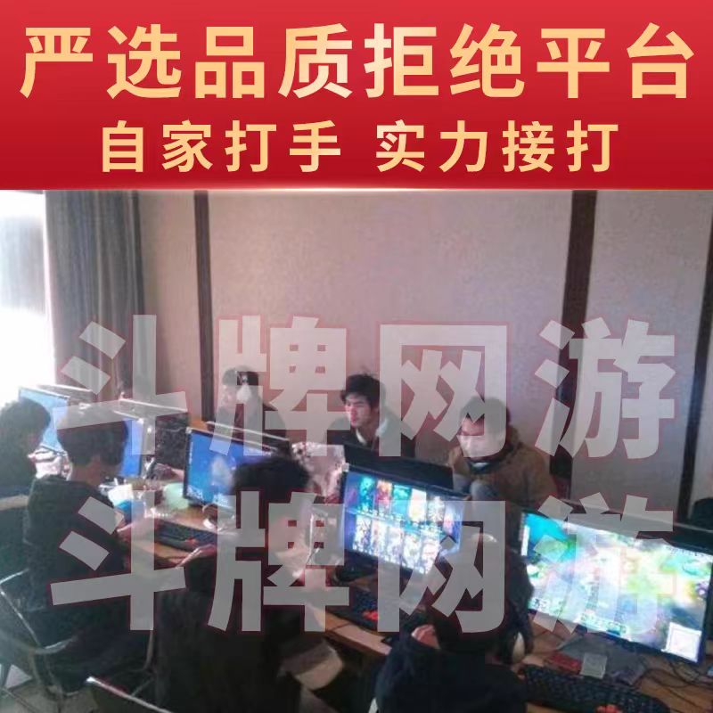 王者荣耀账户王者荣耀代练打大小国标巅峰赛线下工作室战力排位上分魔方省金标