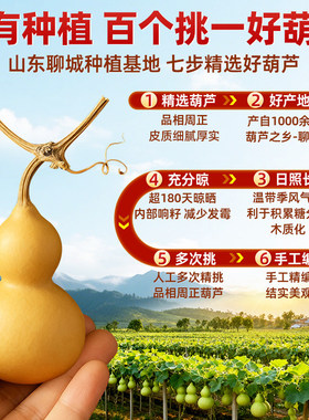 【福禄双至】门对门闭口葫芦挂件