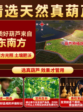 天然葫芦摆件解决开口门对门客厅