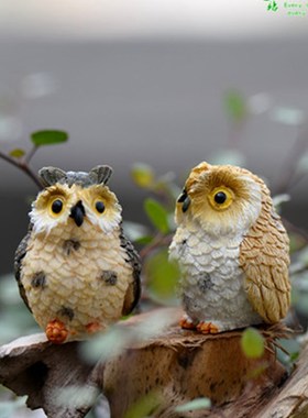 速发迷你猫头鹰老鹰肉景观多微摆件造景装饰品材料小动物配件