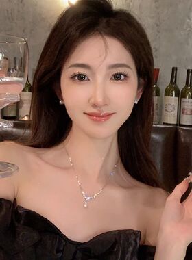 私有浪漫~V形项链女款轻奢小众设计感高级感锁骨链颈链潮