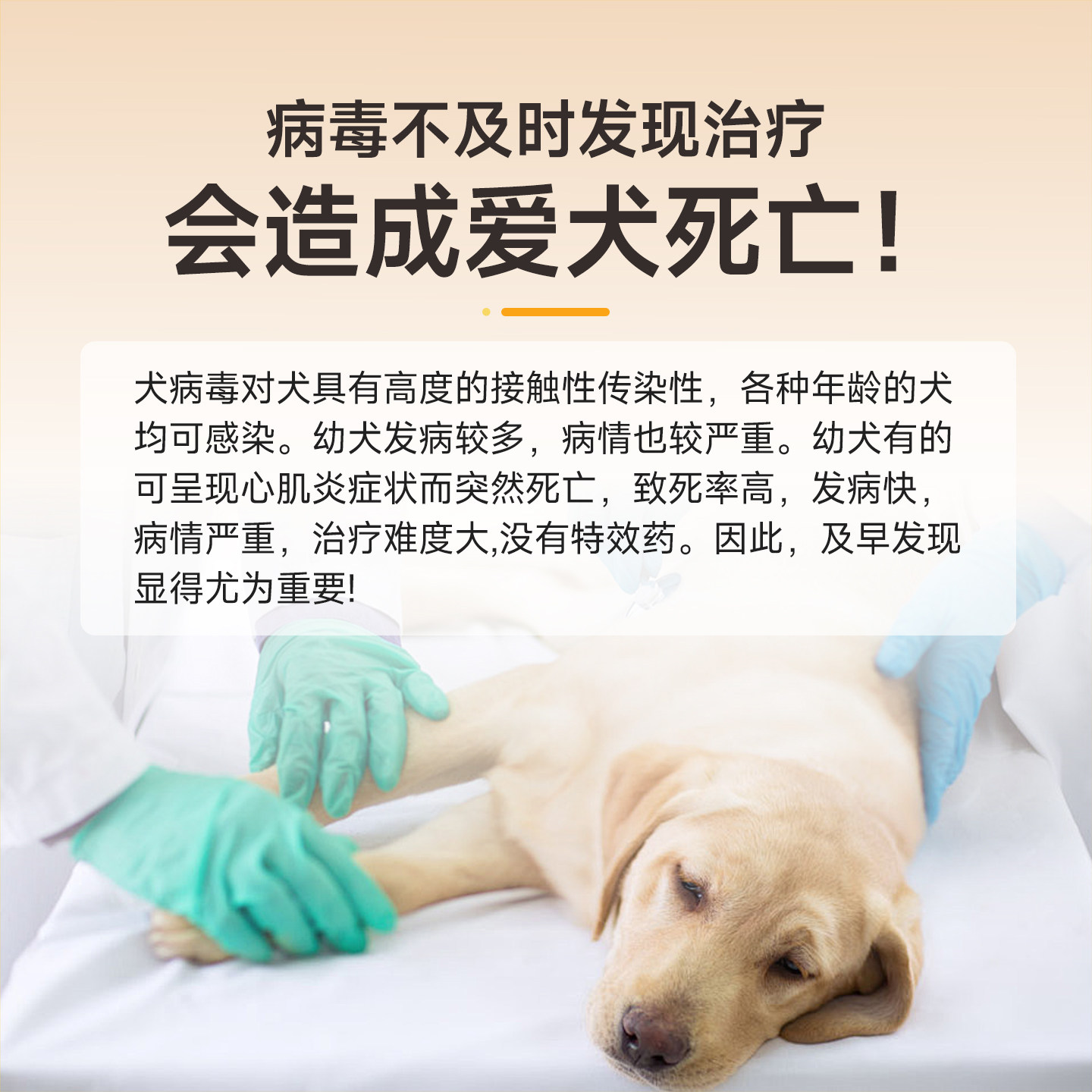 宠莱克 犬瘟细小冠状病毒试纸检测卡三合一狗狗cdv宠物cpv测试ccv,淘宝优惠券,粉丝福利购,淘宝优惠卷
