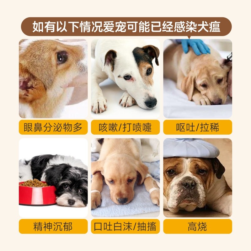 宠莱克 犬瘟细小冠状病毒试纸检测卡三合一狗狗cdv宠物cpv测试ccv,淘宝优惠券,粉丝福利购,淘宝优惠卷