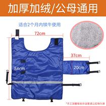 Calf Insulation Machia Calf Thickened Anti-Chill Bull Calf calf Mavericks Machia warm and waterproof Cattle Farm Insulation