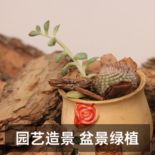 松树皮有机覆盖物园林花园彩色装饰园艺铺面铺土种植基质造景垫材 - 图1