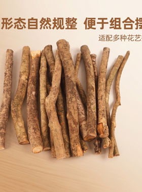 干桂花小树枝插花摆放复古造景