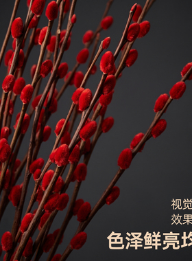 藤支手工干花客厅花艺搭配装饰