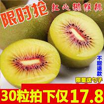 Kiwifruit red heart kiwifruit fresh large fruit Extra large whole box of pregnant women Fruit of the season Chic pagan red Heart