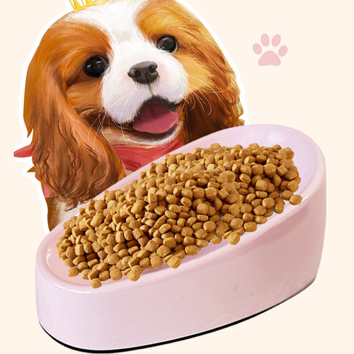 腊肠犬查理王专用碗 坨坨家鞋型碗长耳犬大耳朵狗食盆防翻 - 图1
