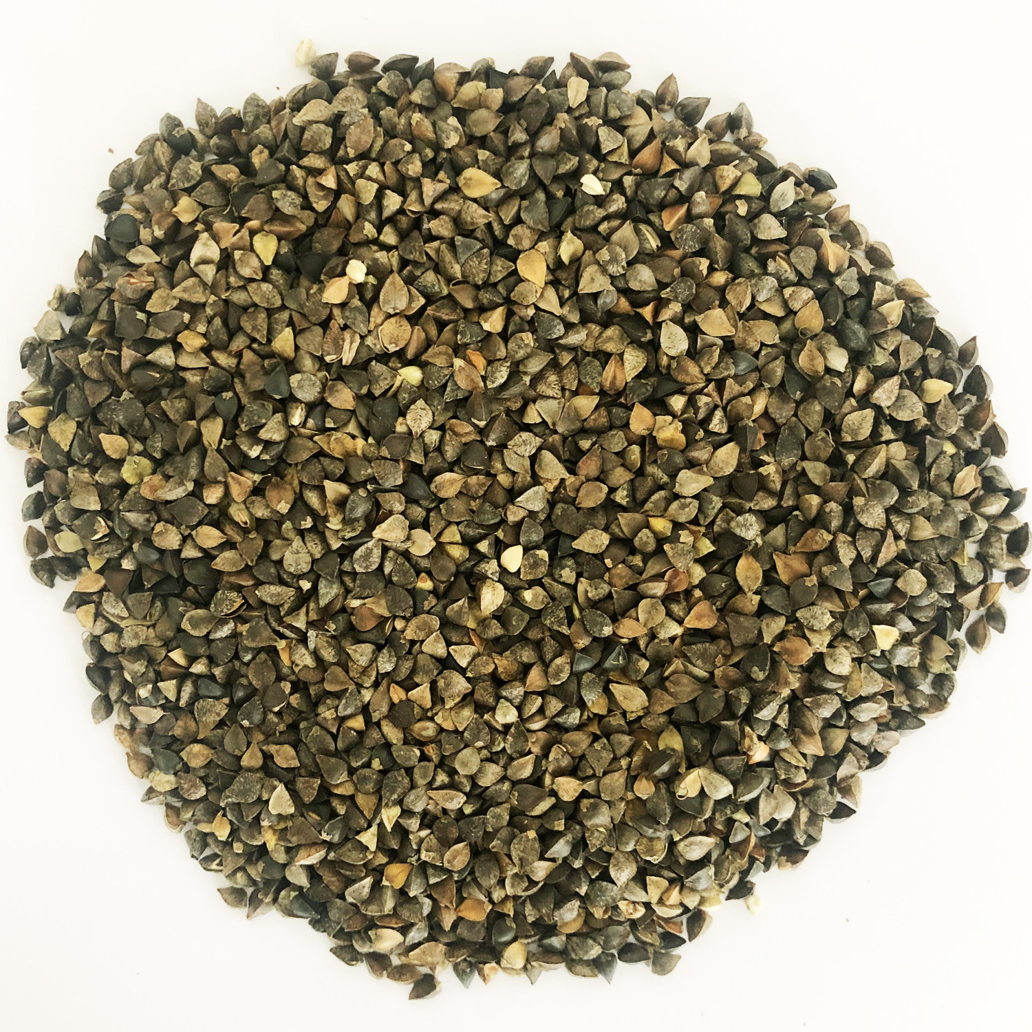 荞麦种子蜜源植物芽苗菜种籽苦甜荞麦高产种子