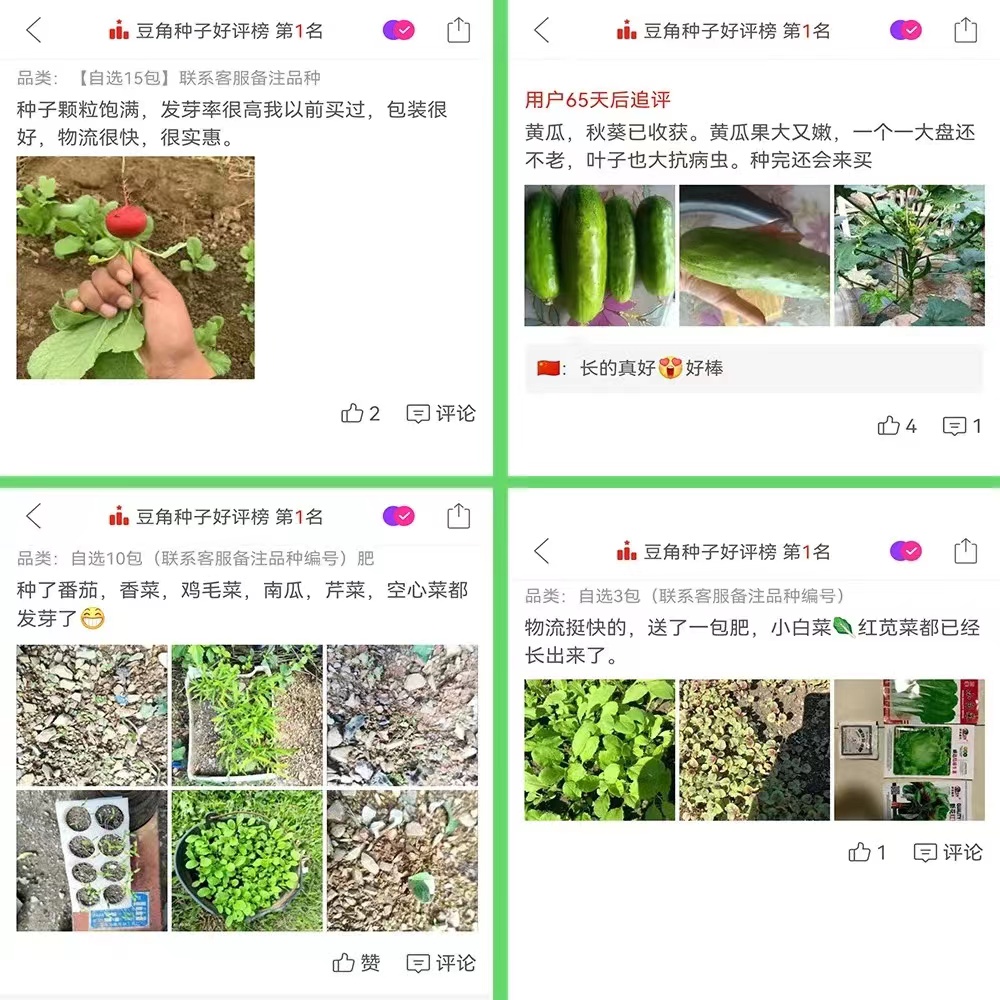 四季蔬菜种子套餐香葱小白菜生菜香菜心阳台菜种籽孑大全春季播秋