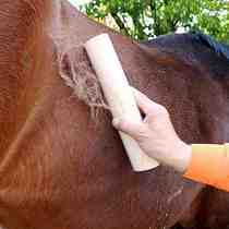 Good use with a large area horse with a fur scraping fur machine horse scraping woolen brush with a horse brush with a horse cleaning brush with a fur remover
