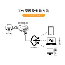 NP330 server print server for server server in NP330 Internet print server