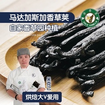 Golden vanilla pure rare Tahiti Madagascar natural vanilla pod vanilla pastry straight for baking