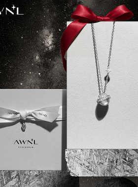 AWNL北欧M陨石吊坠项链高端银饰