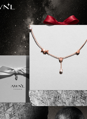 AWNL北欧M陨石达拉木马项链女款
