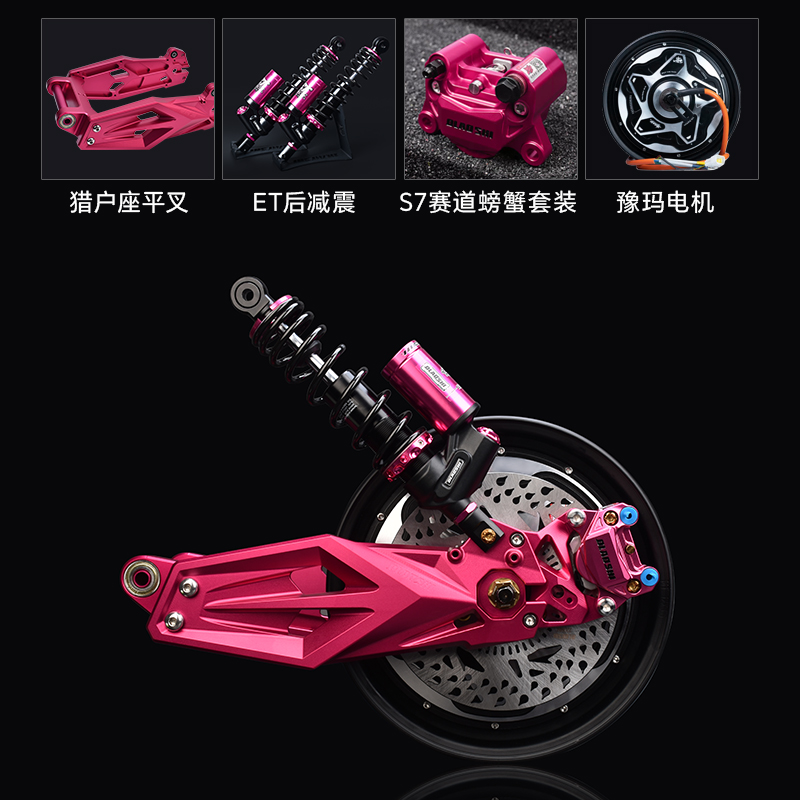 欧老师适用九号猎户座DZ110P/EVA后轮电机减震平叉刹车改装套装 - 图3