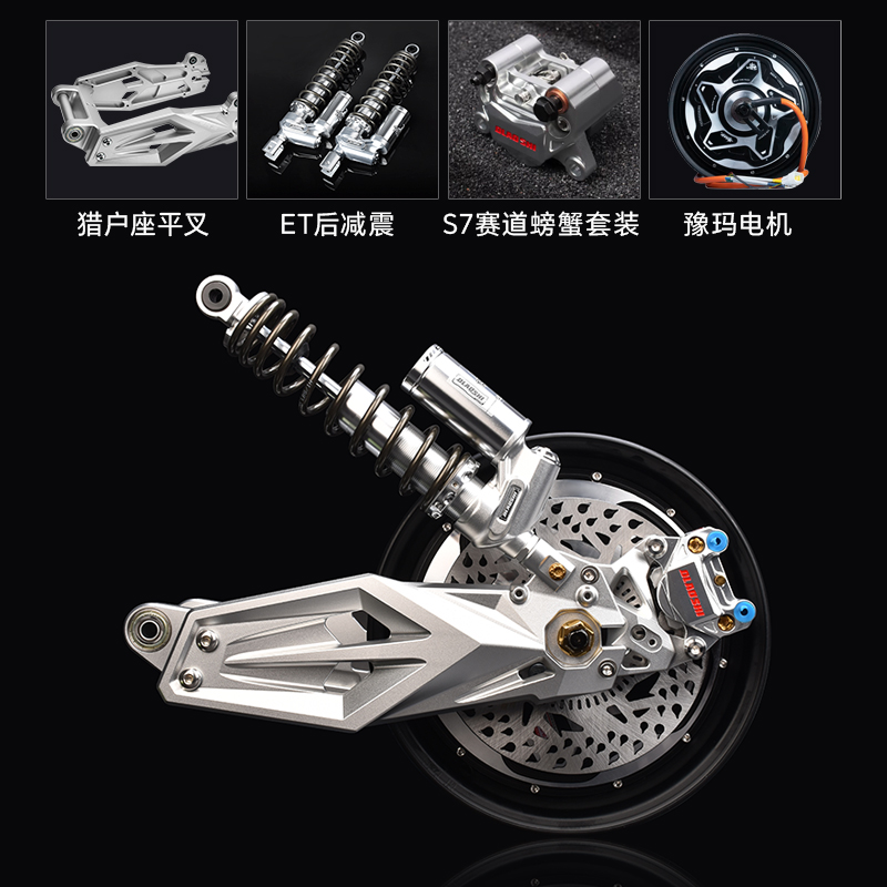 欧老师适用九号猎户座DZ110P/EVA后轮电机减震平叉刹车改装套装 - 图2