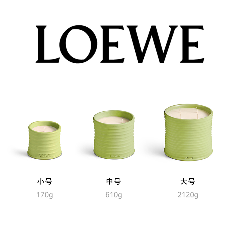 【520礼物】LOEWE罗意威黄瓜香氛香薰蜡烛植物小众居家官方-图3