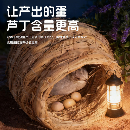 三丁芦丁鸡产蛋粮营养鸡饲料高蛋白促产蛋小芦丁鸡开口粮专用饲料 - 图2