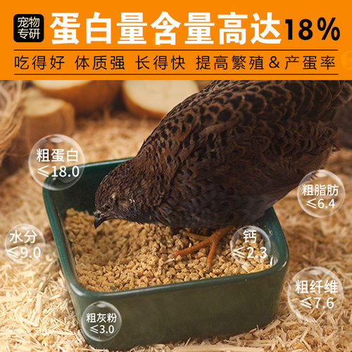 三丁芦丁鸡产蛋粮营养鸡饲料高蛋白促产蛋小芦丁鸡开口粮专用饲料 - 图0