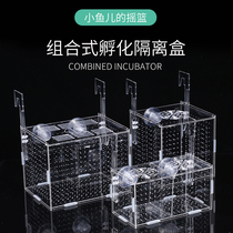 Peacock fish transparent hopper fish anchovies tail Yukon production isolation plate juvenile fish isolation mesh fish tank isolation box separation suction cup