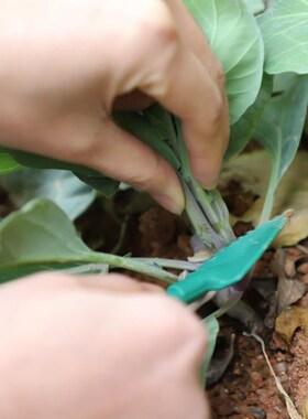 PP Plants Transplant Seedlings Digging Gardening Shovel Suit
