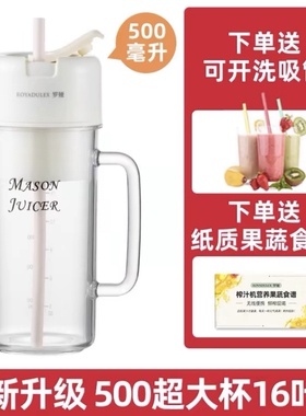 罗娅榨汁机16叶刀头500ml家用小