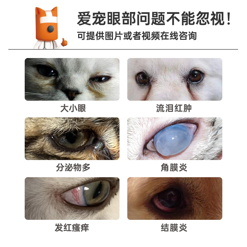 瑞德医生狗狗眼药水猫咪消炎用狗狗眼睛发炎流泪硫酸新霉素滴眼液 - 图0