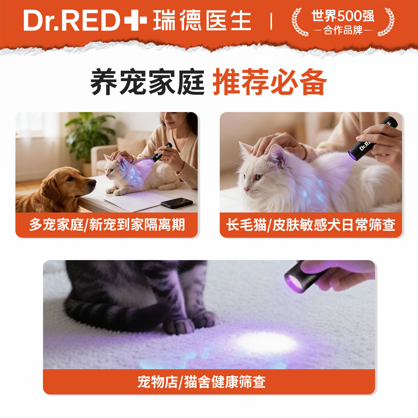 瑞德医生伍德氏猫藓灯检测猫癣照猫尿宠物狗医用真菌紫外线荧光灯