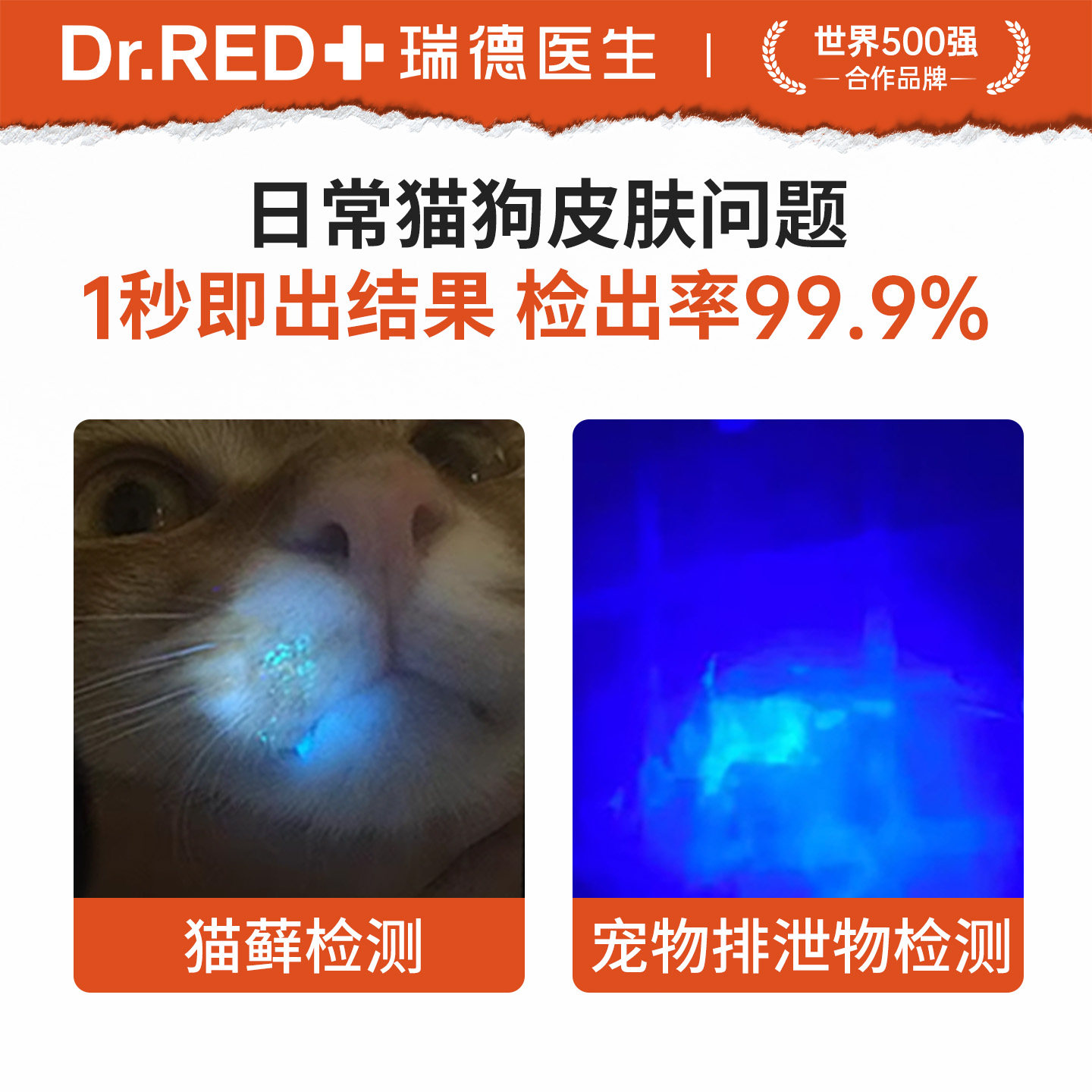 瑞德医生伍德氏猫藓灯检测猫癣照猫尿宠物狗医用真菌紫外线荧光灯