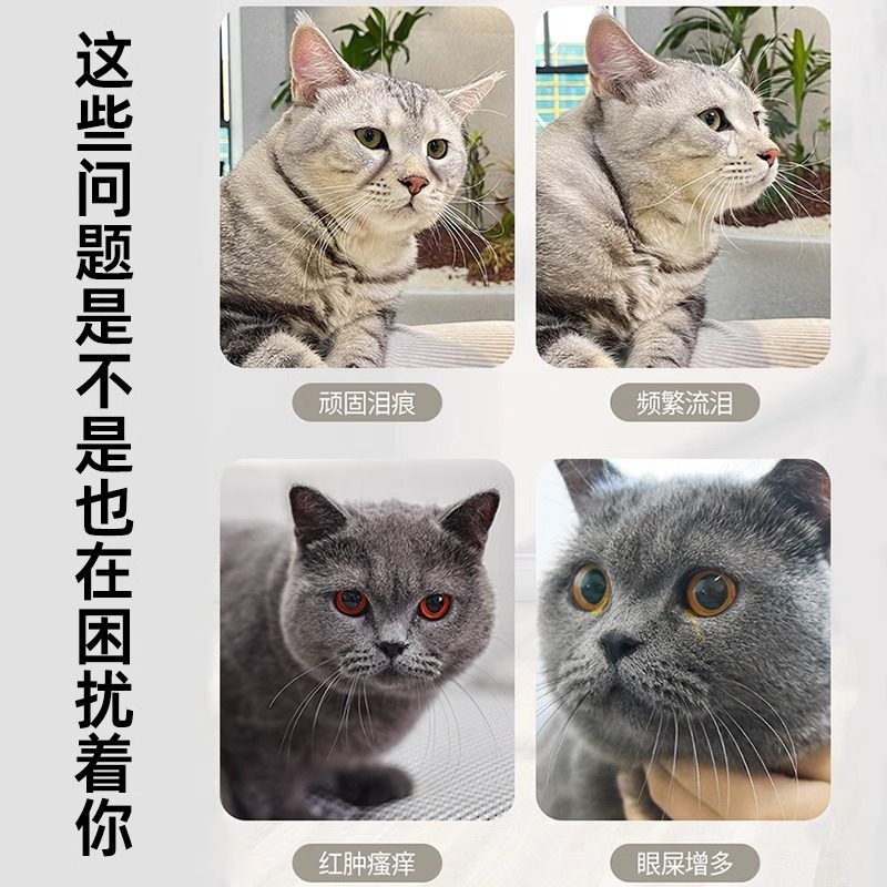 猫咪狗狗宠物眼部清洁湿巾淡泪痕眼睛去除液药水芦荟精华温和犬去