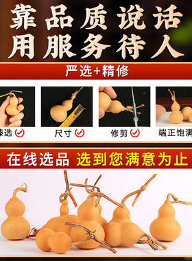天然文玩小葫芦4-6cm手把件装饰摆件野生葫芦迷你家居客厅摆件
