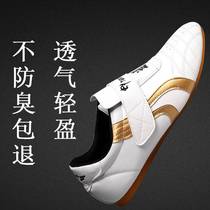 Taekwondo Shoes Children Shoes Boys Training Shoes Beginnics Breathable Adults Martial Arts Practice Shoes Beginnics Soft-bottom