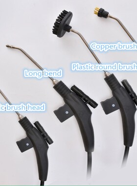 110/220V Electric Steaming Cleaner Machine High Temperature