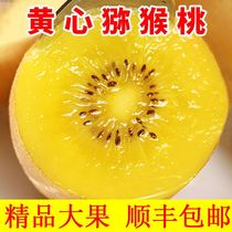 Sichuan Yellow Heart Exotic Fruits Fresh season Fruit Chic Exotic Fruit season Pregnant Womans Golden Monkey Peach Whole Box