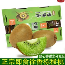 Authentic chizang ready-to-eat chic exotic fruit green heart kiwifruit hard fruit big fruit gift boxed fresh when season makes fruit