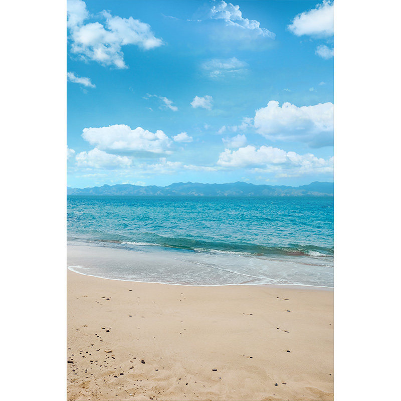 海边沙滩蓝天白云2023新款夏季个人写真照油画背景布小清新风格室内风景影楼拍照道具情侣闺蜜写真照MH-0853 - 图1