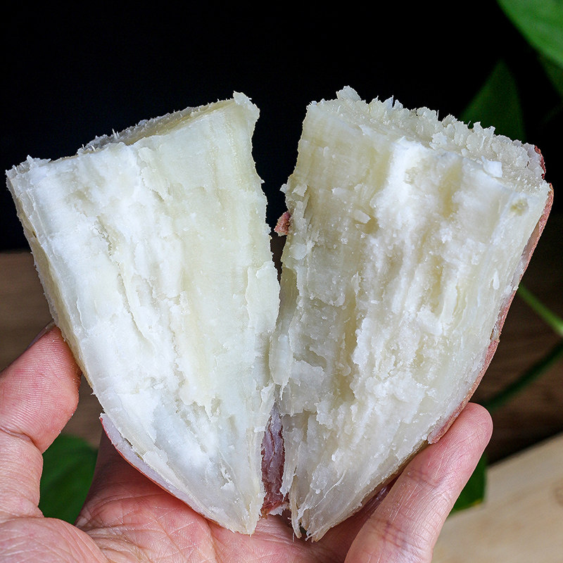 白心9斤新鲜板栗薯白瓤包邮10红苕 沃柠番薯