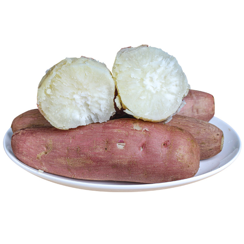 白心9斤新鲜板栗薯白瓤包邮10红苕 沃柠番薯