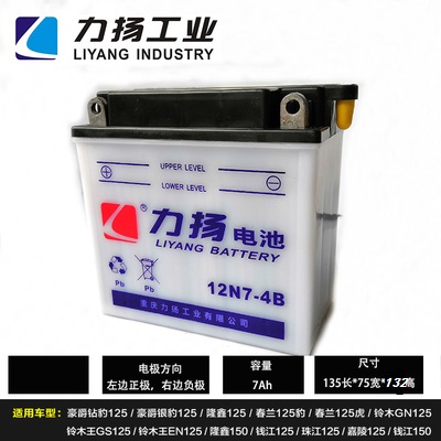 新品力扬125跨骑摩托车踏板车电瓶12v7AH9AH水电池干电瓶免维护蓄-图0