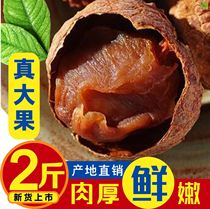 New Cargo Putian Lychee Dry 500gX2 Bag Selected Michelin Dried Lychee Nuclear Small Flesh Thick Lychee Meat Dried Courtesas