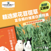 Child Shepherd Rabbit Purple Flowers Clover Clover Grass Food With Drying Pasture Grass Stock Dragon Cat Holland Pig Grain Guinea Pig Feed