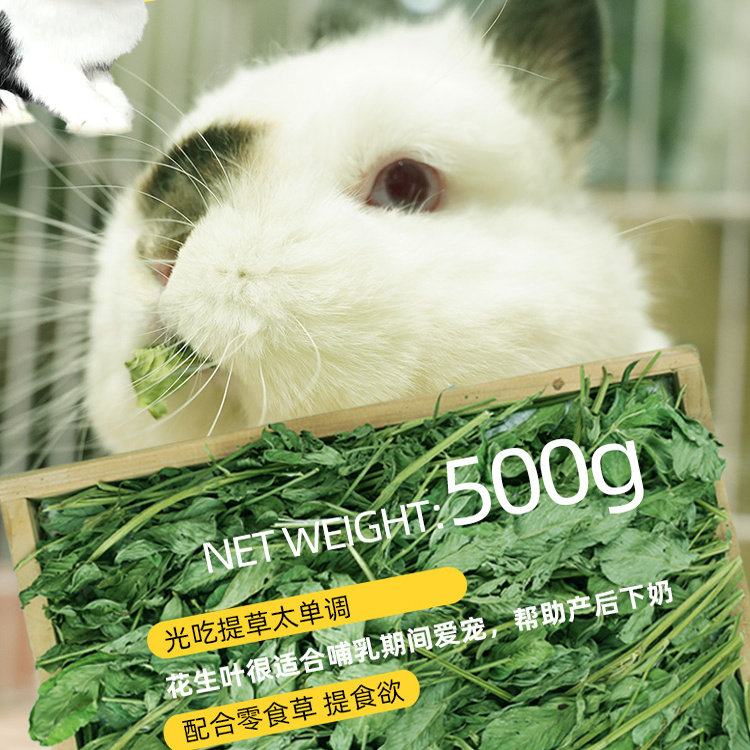 兔子专用烘干牧草花生草叶宠物龙猫荷兰猪豚鼠饲料食用草补充营养,淘宝优惠券,粉丝福利购,淘宝优惠卷