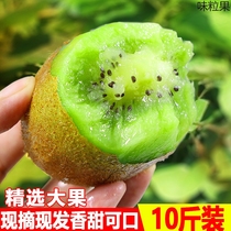 Now Off Fresh Chic Exotic Fruit 10 Catty Whole Box Big Fruit When Season Should Be Season Sweet Chic Divorced Pregnant Woman 5