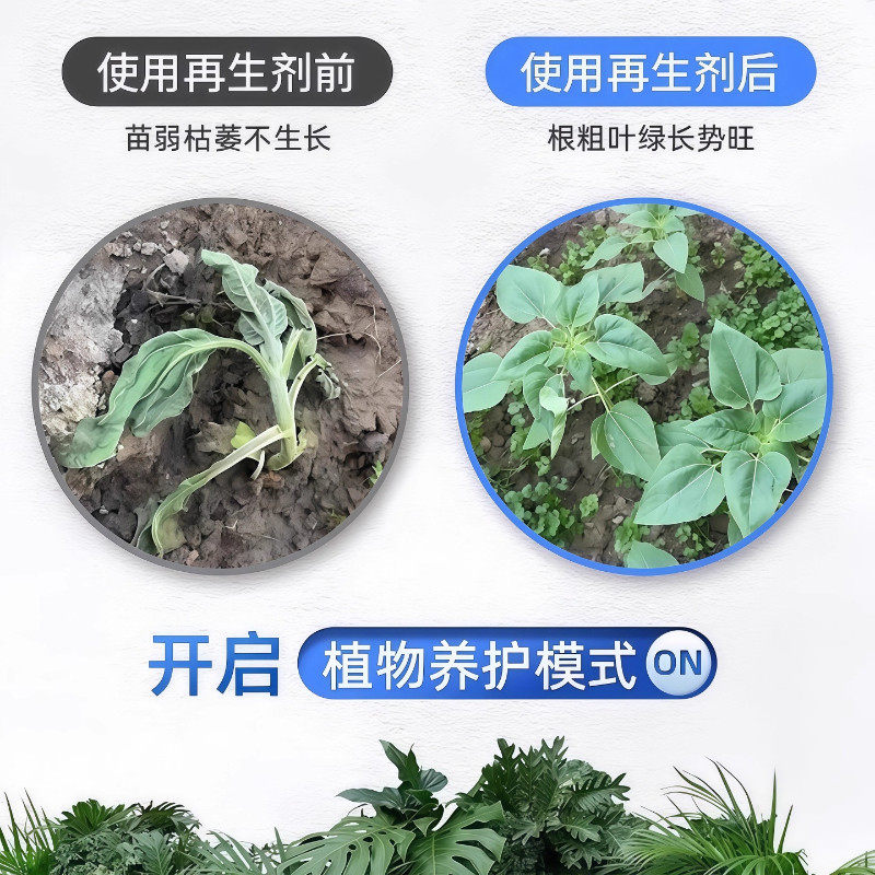 植物再生剂复活液花卉绿植盆栽通用光杆发黄发财树多肉生长营养液,淘宝优惠券,粉丝福利购,淘宝优惠卷