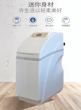 全自动家用一体软水机沐浴洁面